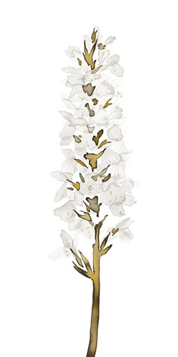 Floral Poetry - Blossom - Kristine Hegre