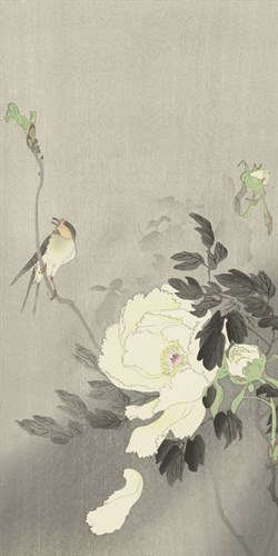 Bird with Peony - Ohara Koson