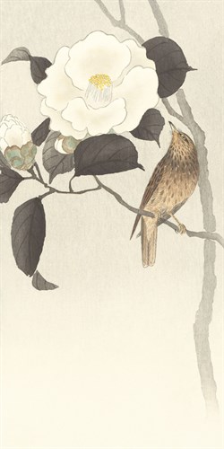 Songbird and Flowering Camellia - Ohara Koson