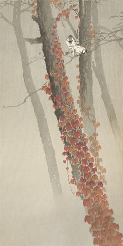 Red Ivy - Ohara Koson