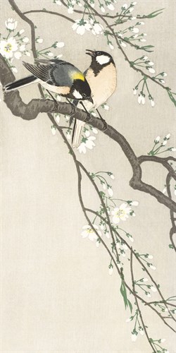 Birds on Blossom Branch - Ohara Koson