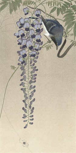 Flycatcher in Wisteria - Ohara Koson