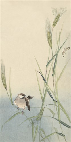Bird and Butterfly - Ohara Koson