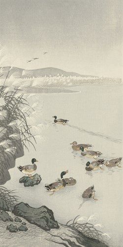 Ducks in the Water - Ohara Koson