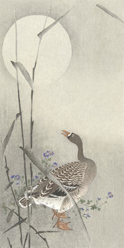 Goose at Full Moon - Gander - Ohara Koson