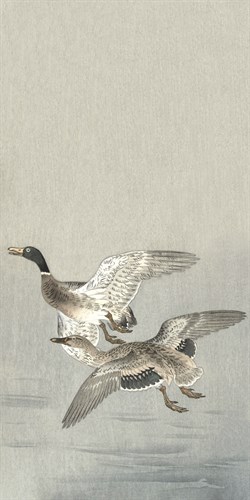 A Couple of Ducks - Ohara Koson