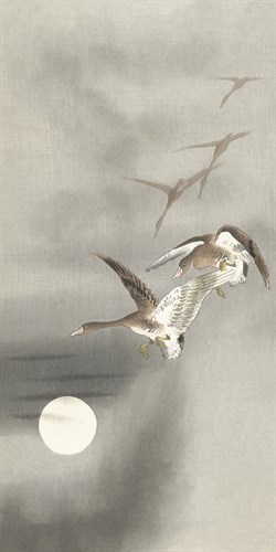 Geese in Flight - Ohara Koson