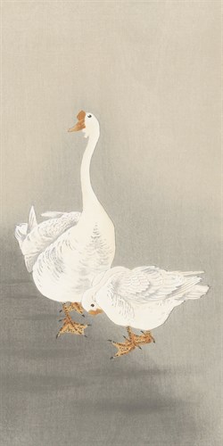 Two Geese - Peck - Ohara Koson