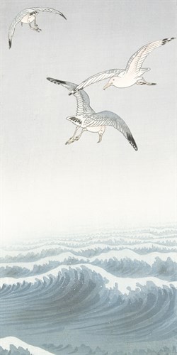 Three Seagulls - Ohara Koson