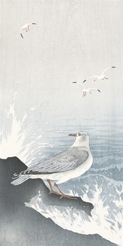 Seagull on a Rock - Ohara Koson