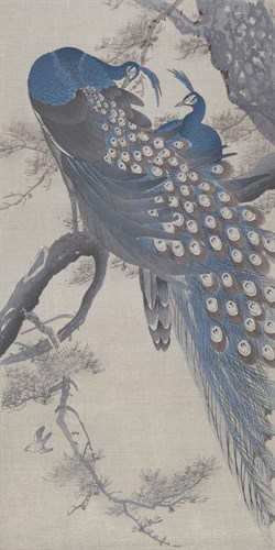 Peacocks on a Tree Branch - Ohara Koson