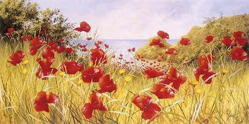 Clifftop Poppies - Mary Dipnall