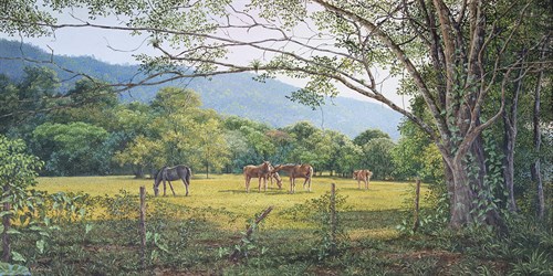 Graze - Karen Sylvester