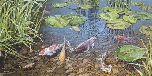 Koi's Play - Karen Sylvester