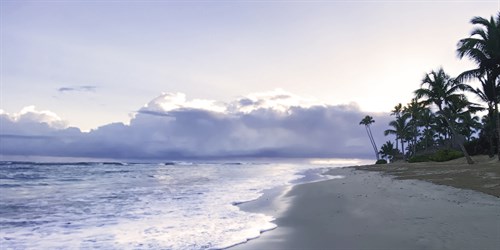 Paradise Dusk - Malcolm Sanders