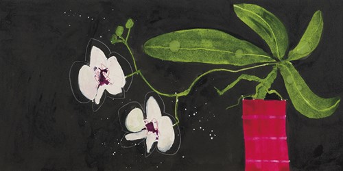 Orchid Duet - Susan Brown