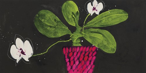 Orchid Chorus - Susan Brown