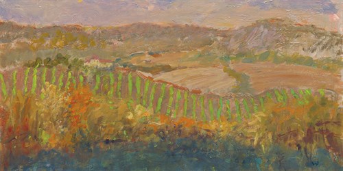 Open Air - Roy Woodard