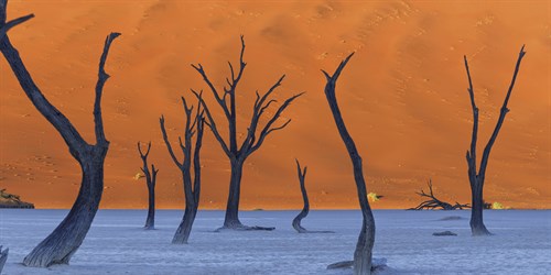 Contrasted Landscape - Michele Falzone
