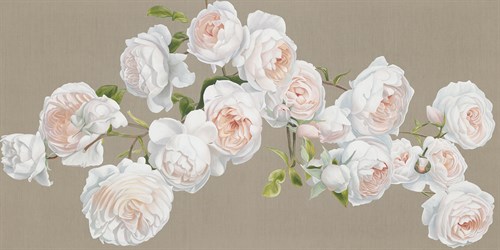 Romantic Roses - Sarah Caswell