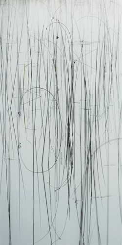 Lake Grass - Swatch - Mike Toy