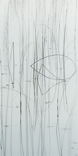 Lake Grass - Sample - Mike Toy