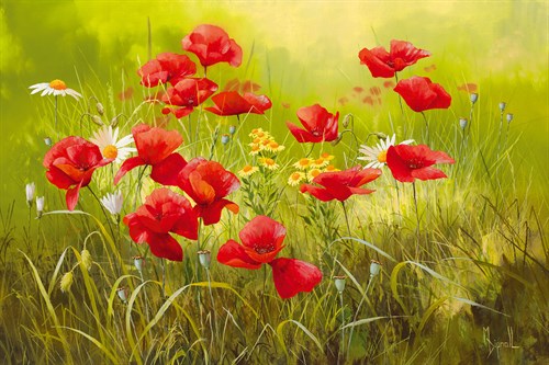Dappled Summer - Mary Dipnall