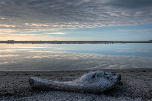 Driftwood Estuary - Nathan Secker