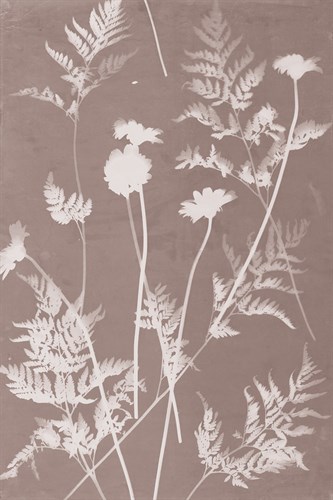 Fern Fronds in Grey - Sarah Cheyne