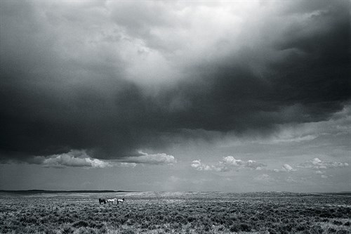 Big Country - Andrew Geiger