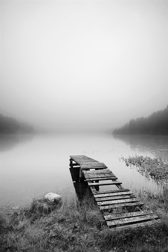 Still - Andreas Stridsberg
