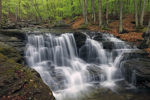 Spring Flow - Michael Greene