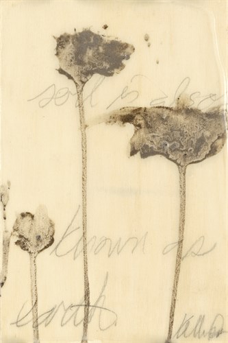 Lutare I - Kelly Rogers