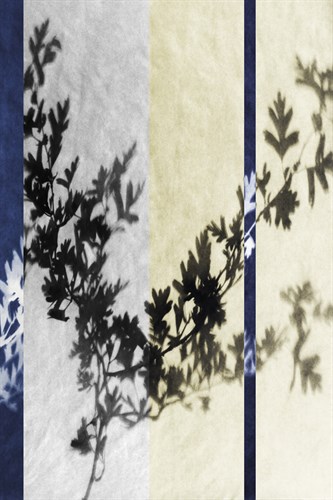 Black Hawthorn Stripe - Sarah Cheyne