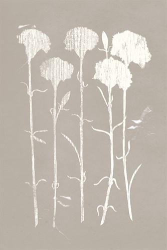 From the Garden I - Max Carter