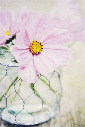 Summer Days III - James Guilliam