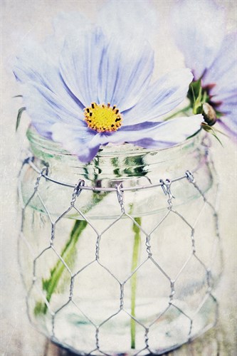 Summers Days IV - James Guilliam