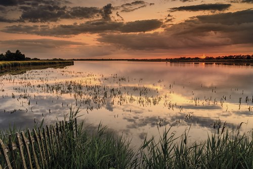 Red Skies - Steve Docwra