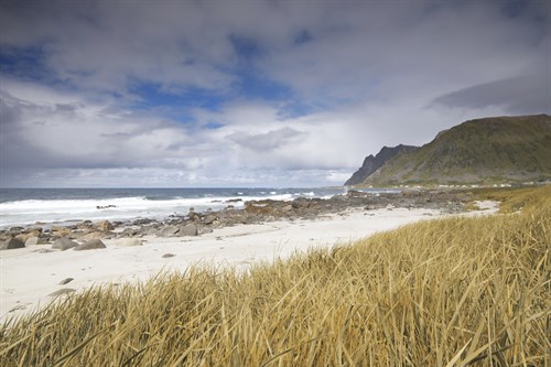 Sands - Andreas Stridsberg