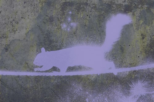 Urban Animals II - Ken Hurd