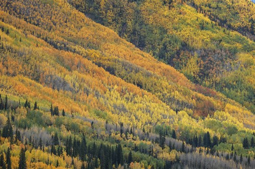 Red Mountain Pass - Michael Greene