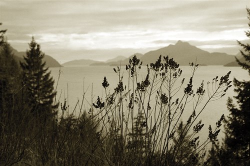 Peaceful View - Tony Koukos