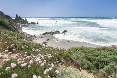 Clifftop Cove II - Markus Lange