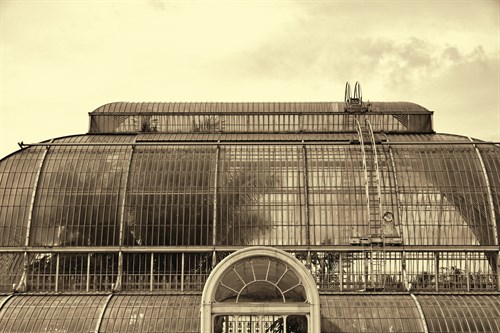 The Palm House - Bernard Webb