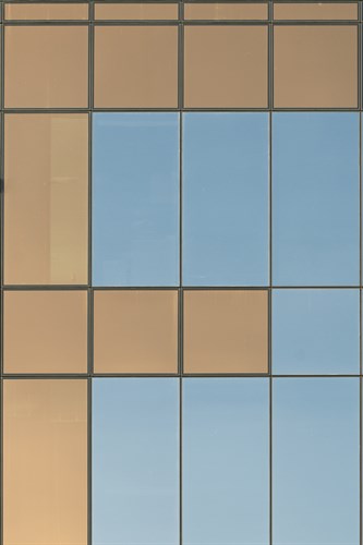 Tropical Type F - Tile - Mike Toy