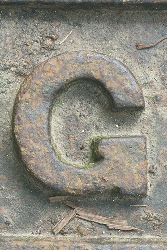 Tropical Type G - Metal - Mike Toy