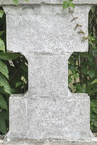 Tropical Type I - Stone - Mike Toy