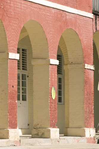 Tropical Type M - Archway - Mike Toy