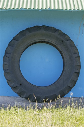 Tropical Type O - Wheel - Mike Toy