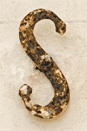 Tropical Type S - Rust - Mike Toy